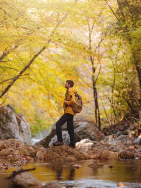 Travel and road trip concept at autumn. Adventure and active lifestyle in nature. Tourist hiking in forest. Caucasian man in yellow jacket walks in woods.