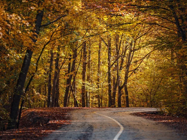Seyahat, turizm, sonbaharda eğlence konsepti. Kavisli yolu olan renkli bir manzara, sonbaharda portakal yapraklı ağaçlar. dağ yolu
