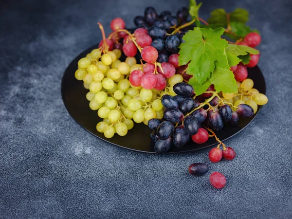 Vineyard Harvest Autumn Season Crop Juice Organic Blue Red Green — Stock Photo, Image