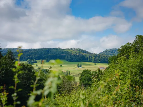 Paysage Forestier Vert Européen Belle Nature Suisse France Été — Photo