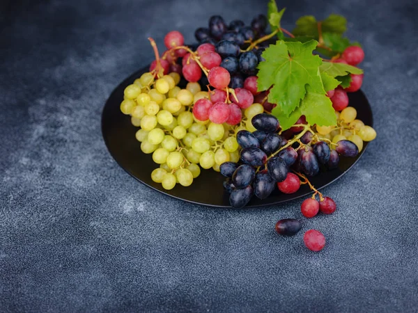 Vineyard Harvest Autumn Season Crop Juice Organic Blue Red Green — Stock Photo, Image