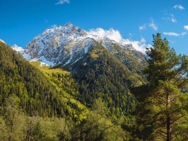 Irkis Vadisi 'nden, Arkhyz' den, Karachay-Cherkessia 'dan, Kuzey Kafkasya' dan. Mavi gökyüzü ve bulutlarıyla karlı dağ vadisi ve Kafkasya 'da Psysh nehrinin yakınında güzel bir orman. Alp manzarası.