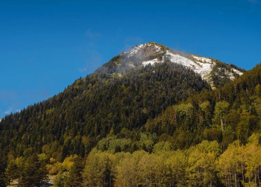 Irkis Vadisi 'nden, Arkhyz' den, Karachay-Cherkessia 'dan, Kuzey Kafkasya' dan. Mavi gökyüzü ve bulutlarıyla karlı dağ vadisi ve Kafkasya 'da Psysh nehrinin yakınında güzel bir orman. Alp manzarası.