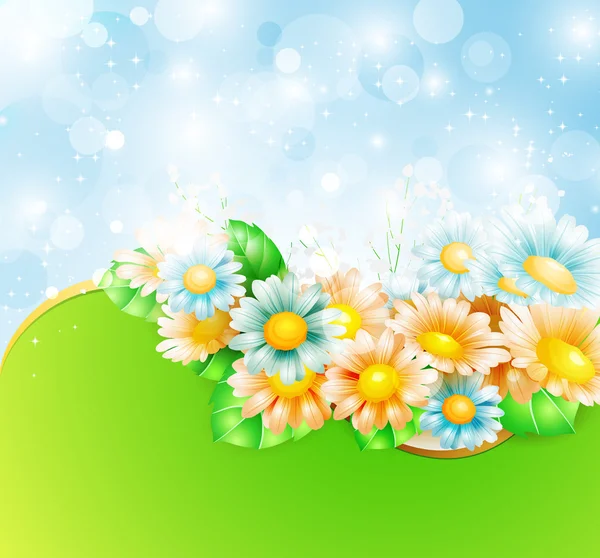 Spring flowers background — Stock Vector