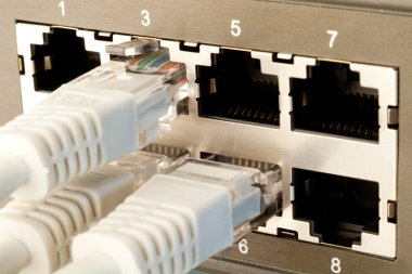 Ağ anahtarı ve patch kablolar