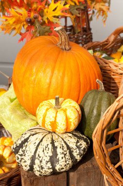 sonbahar sepet. Cadılar Bayramı