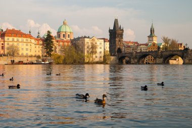 Prague. Vltava river and Charles bridges clipart