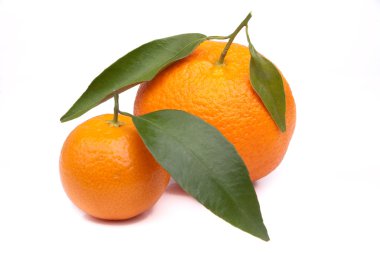 tangerins beyaz bir arka plan üzerinde