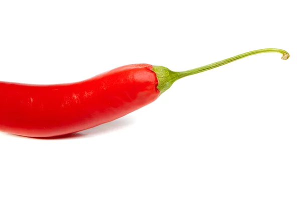 Red hot chili pepper — Stock Photo, Image