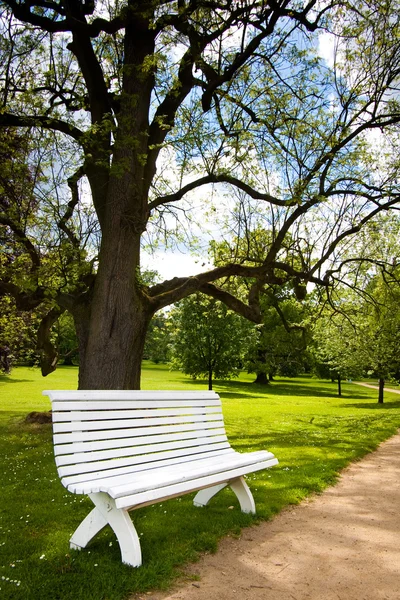 Beautiful white bench in public park — Stock Photo, Image