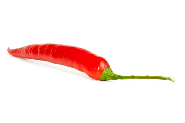 Peperoncino rosso piccante — Foto Stock