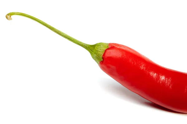 Red hot chili pepper — Stock Photo, Image