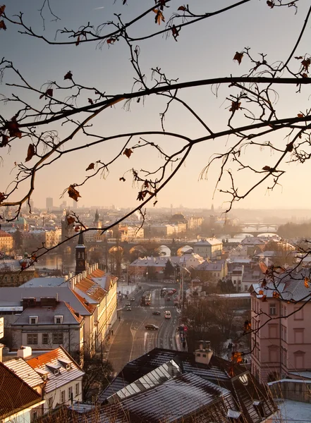 Prag çatılar — Stok fotoğraf