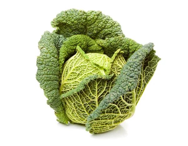 Ripe savoy cabbage isolated on white background — Stock Photo, Image