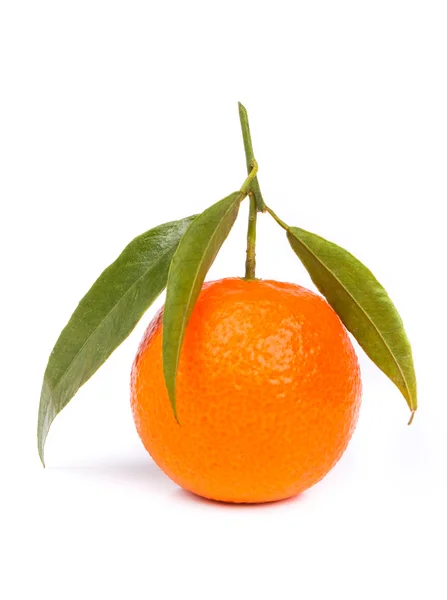 Mandarin — Stock Photo, Image