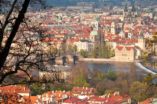 Toits rouges de Prague — Photo