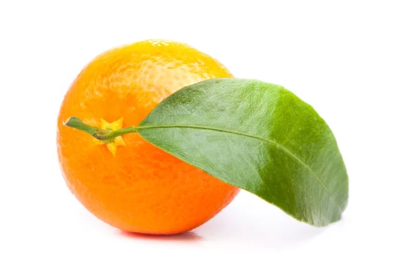 Mandarin — Stock Photo, Image