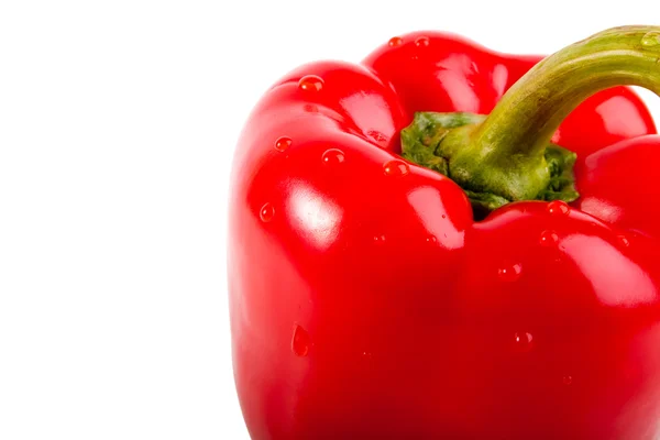 Ripe colored pepper — 스톡 사진