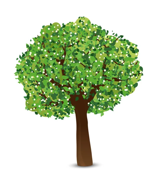 Árbol con hojas verdes y flores blancas — Vector de stock