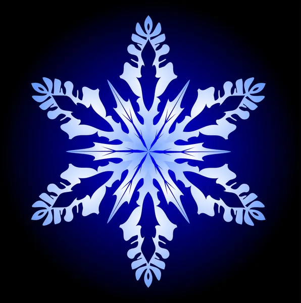 Vector snowflake — Stock Vector