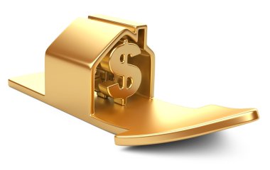 dolar işareti ve yükselen ok ev
