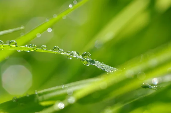 Gocce d'acqua — Foto Stock