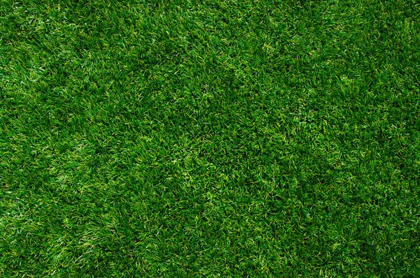 Texture prato verde — Foto Stock