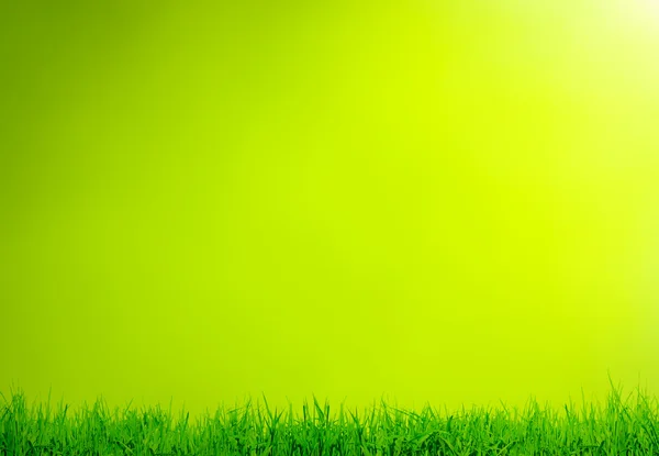 Trawa i zielone tło — Zdjęcie stockowe