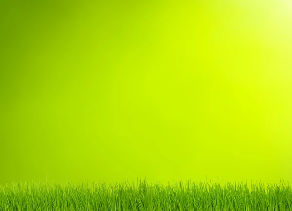 Trawa i zielone tło — Zdjęcie stockowe
