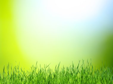 fondo verde y hierba