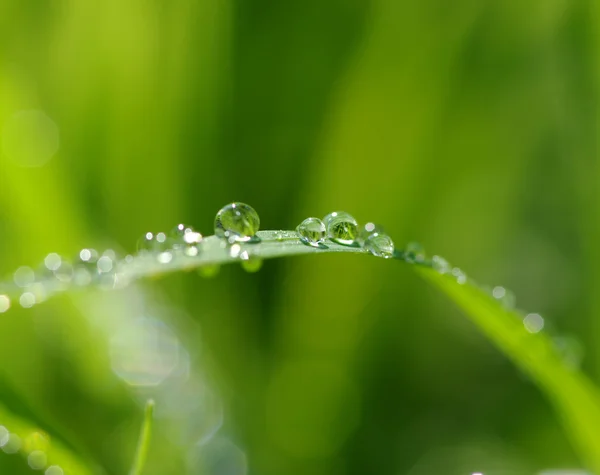 Gotas de água — Fotografia de Stock