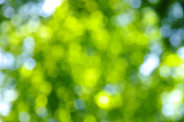 녹색 bokeh — 스톡 사진