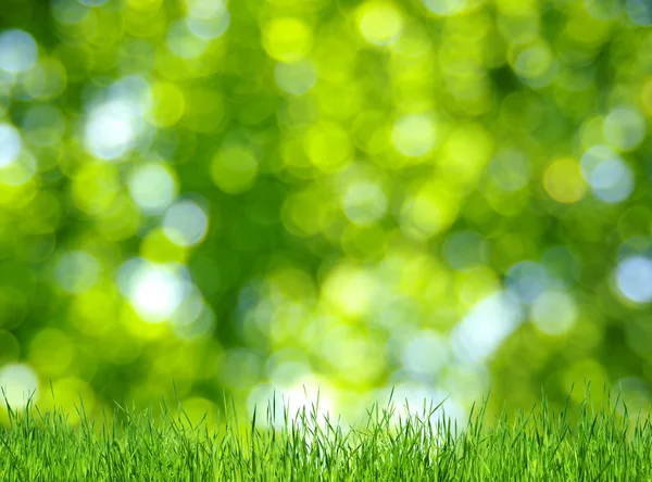 Gras und grüner Hintergrund — Stockfoto