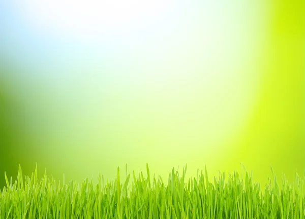 Gras und grüner Hintergrund — Stockfoto