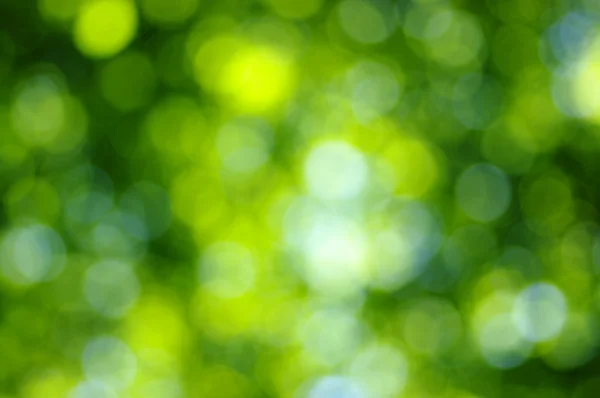 Gröna bokeh — Stockfoto