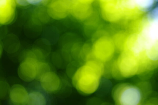 Зеленый боке
