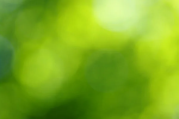 Green bokeh — Stock Photo, Image