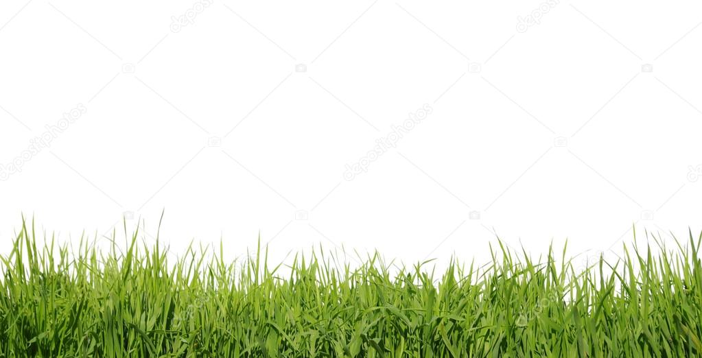 green grass