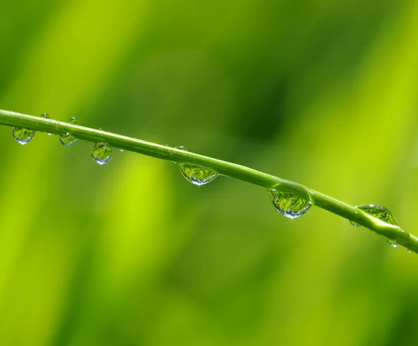 Краплі води — стокове фото