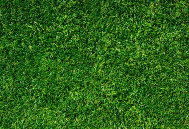 arka planı yeşil çimen