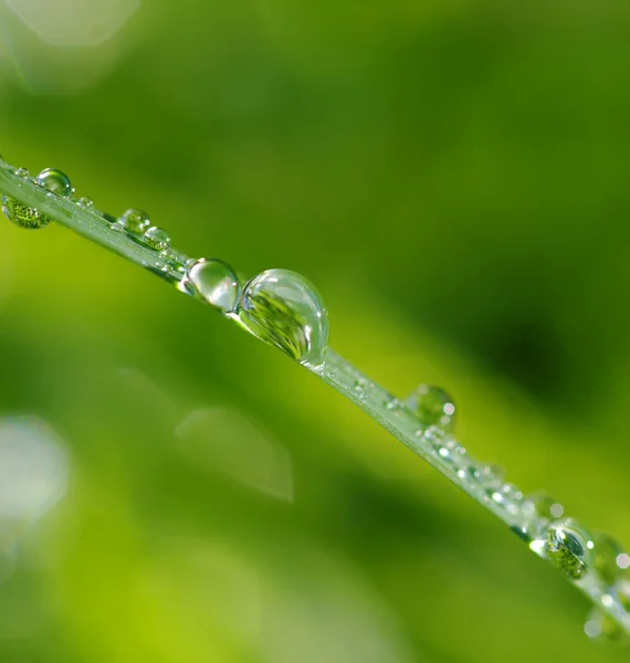 Gocce d'acqua — Foto Stock