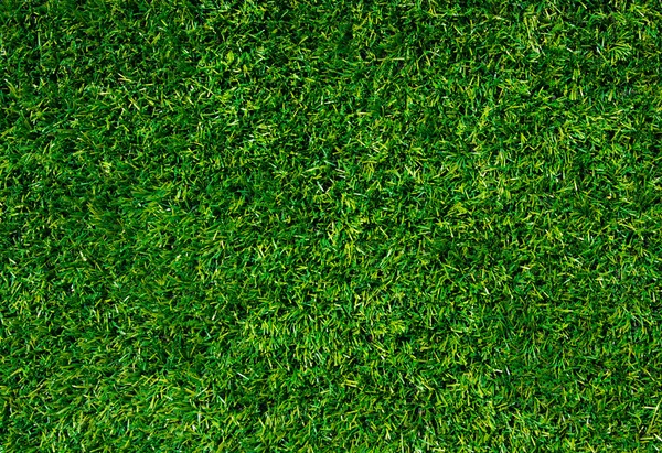 Bakgrund av ett grönt gräs — Stockfoto