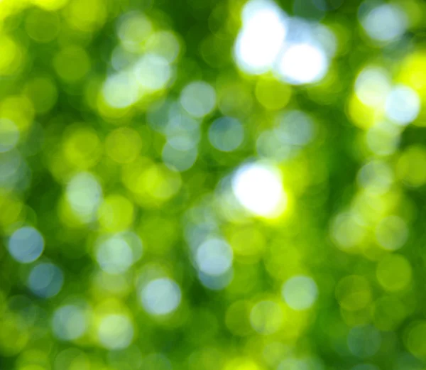 Bokeh verde — Foto Stock