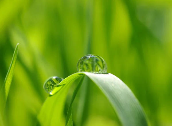 Gotas de agua — Foto de Stock