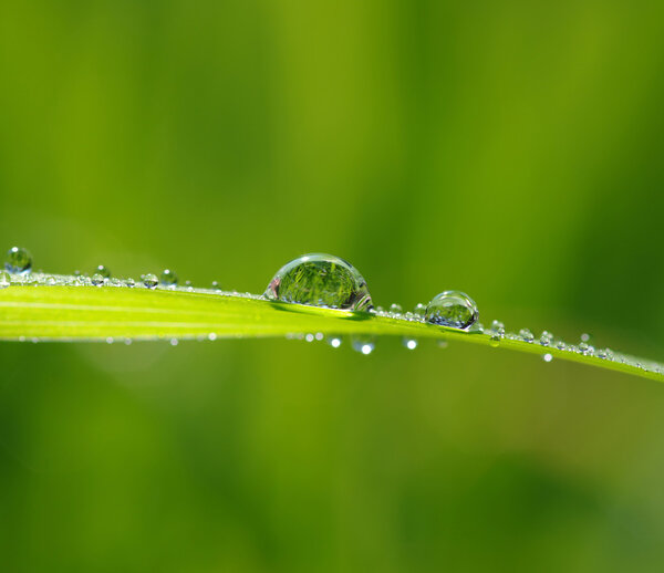 water drops