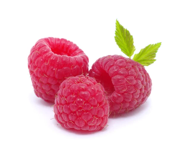 Raspberry — Stock Photo, Image