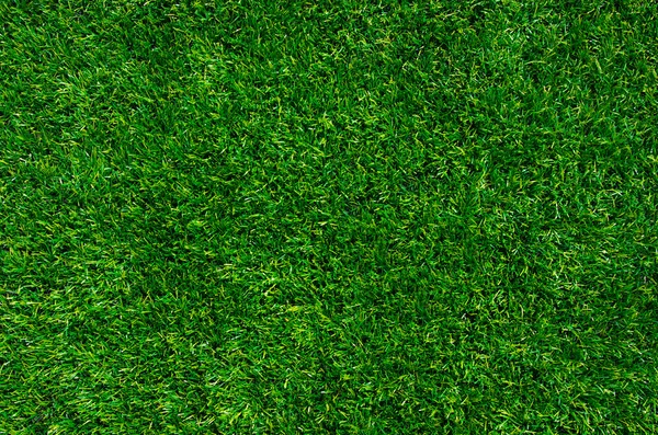 Achtergrond van een groen gras — Stockfoto