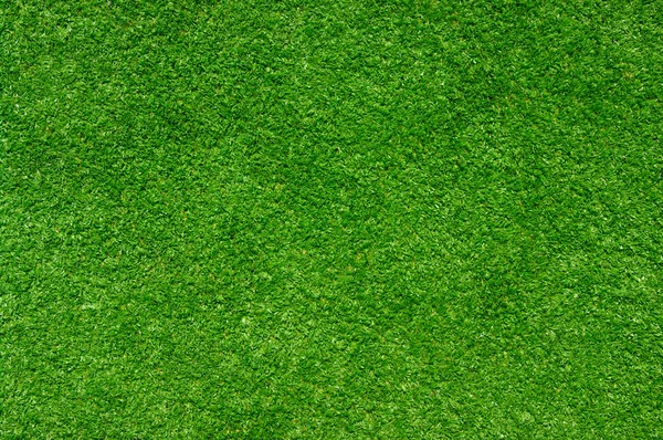 绿草的背景 — 图库照片