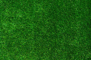 arka planı yeşil çimen