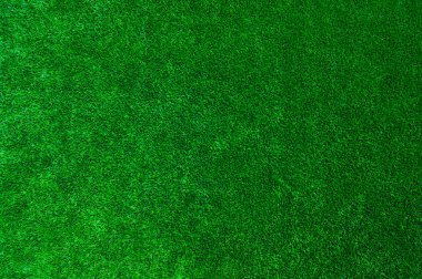 arka planı yeşil çimen